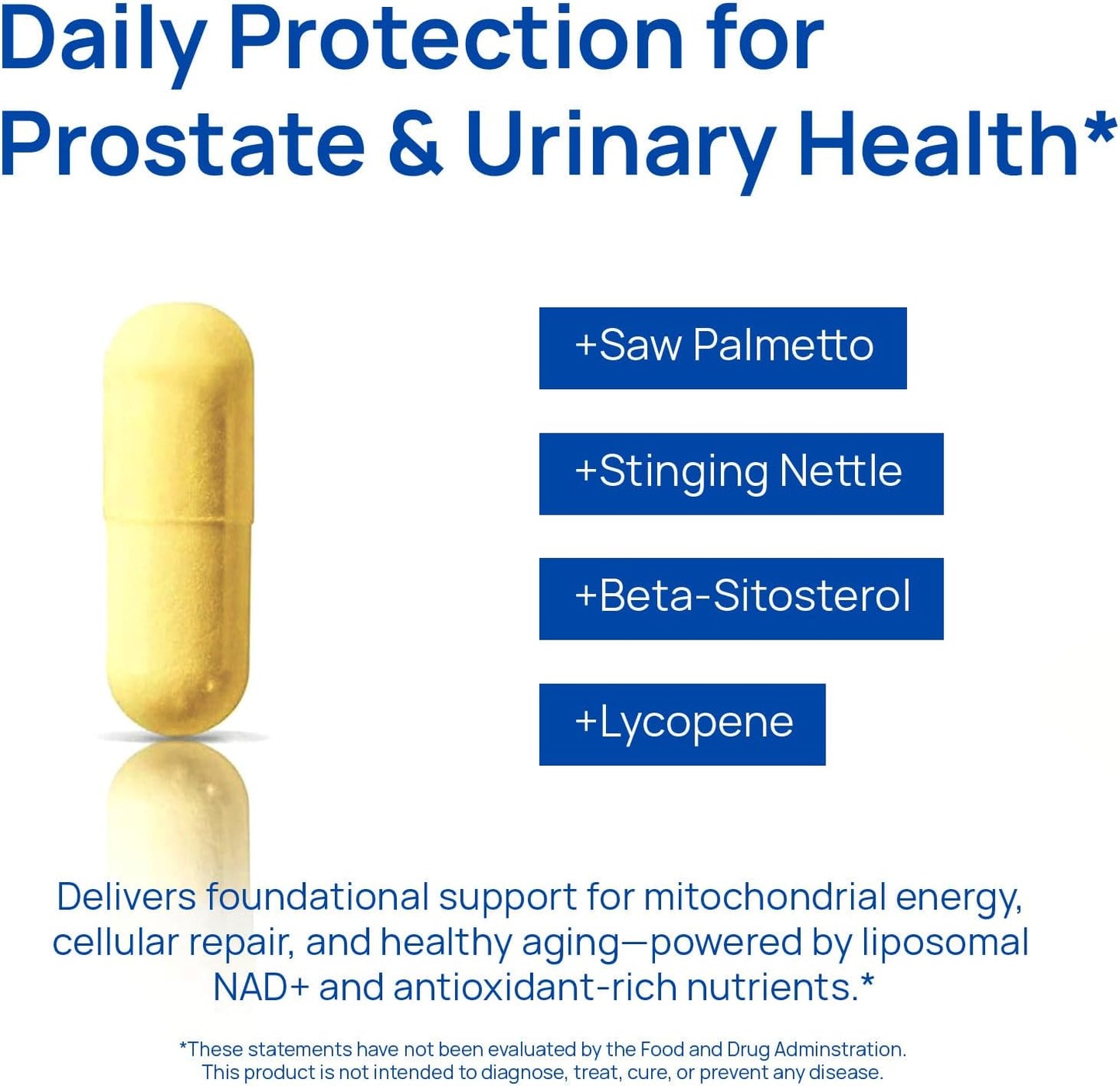 Selerb NAD+ Supplements for Men – Nitric Oxide Prostate Health Supplements for Men with Resveratrol, CoQ10, L Citrulline and Lycopene for Anti-Aging, Stamina & Cellular Energy Support 60 Capsules