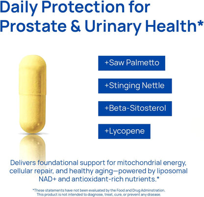 Selerb NAD+ Supplements for Men – Nitric Oxide Prostate Health Supplements for Men with Resveratrol, CoQ10, L Citrulline and Lycopene for Anti-Aging, Stamina & Cellular Energy Support 60 Capsules